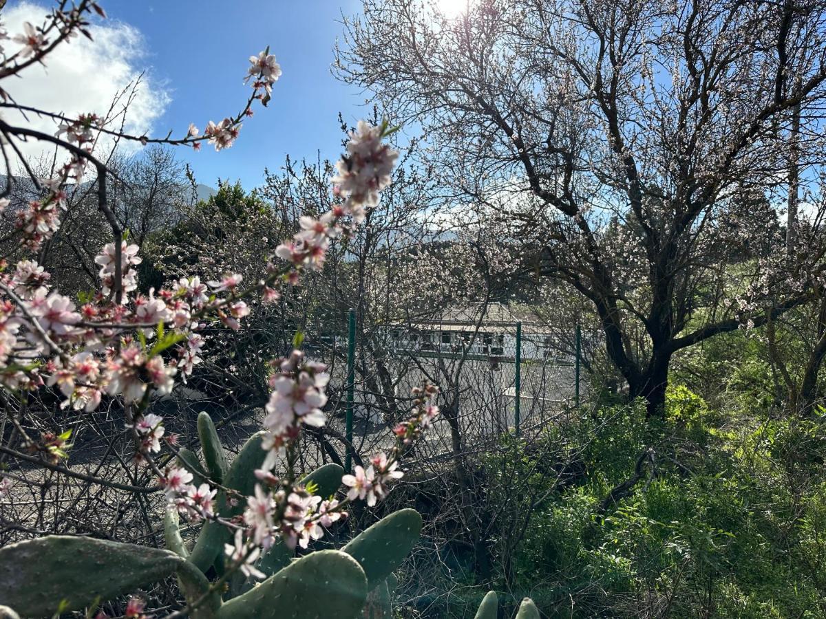 Villa Montana Colorada El Paso Eksteriør billede